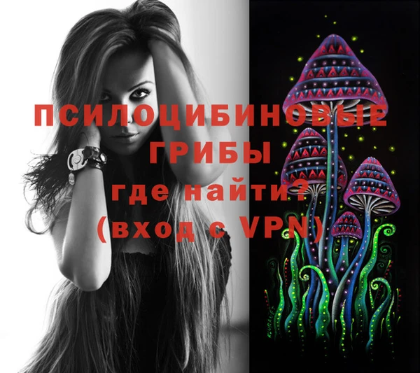 mdma Новозыбков