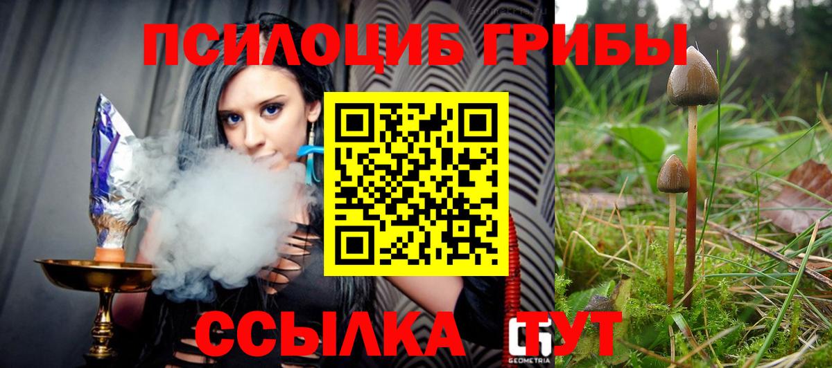 Галлюциногенные грибы MAGIC MUSHROOMS  Вход с VPN  Сухой Лог  Псилоцибиновые грибы MAGIC MUSHROOMS 