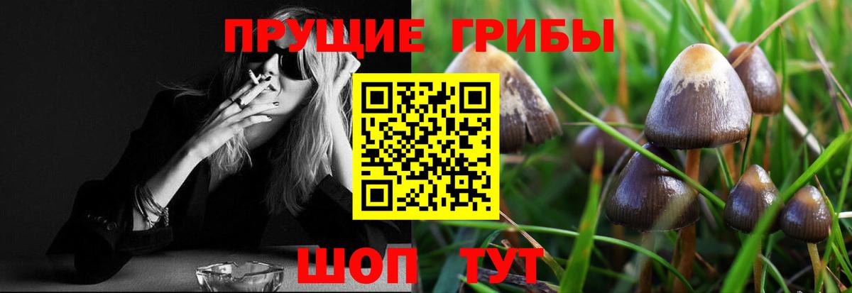 Псилоцибиновые грибы Cubensis Сухой Лог